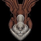 peterrabbit avatar