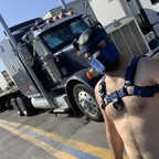truckerpup avatar